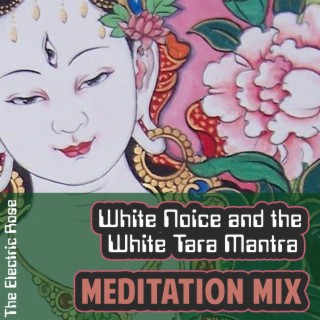 White Noice and the White Tara Mantra (Meditative Mix)