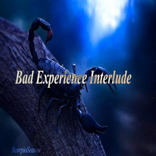 Bad Experience Interlude