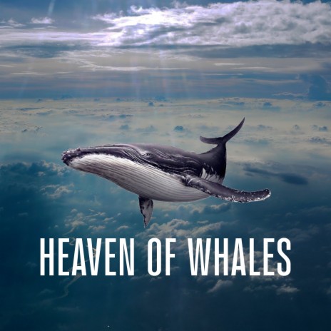 Heaven of Whales | Boomplay Music