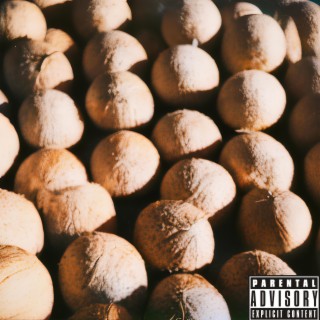 Coconuts #16