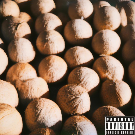 Coconuts #16 ft. HAL | Boomplay Music