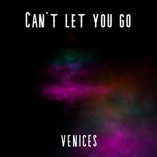 Can't let you go lyrics | Boomplay Music