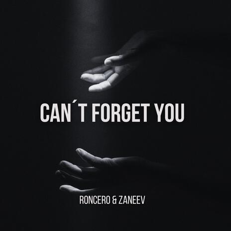 Can´t Forget You (Radio Edit) ft. Zaneev | Boomplay Music