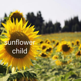 sunflower child.