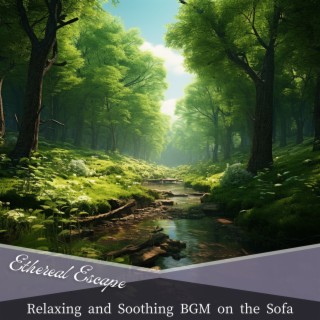 Relaxing and Soothing BGM on the Sofa