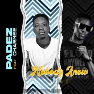 Nobody Know (Cover) | Boomplay Music