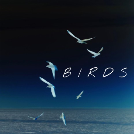 Birds (Lofi) ft. Clay Griffin, LW & Underwood Beats | Boomplay Music