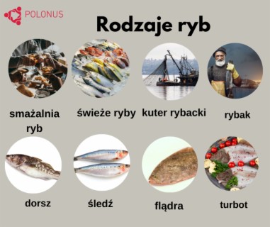 #368 Types of Fish - Rodzaje ryb