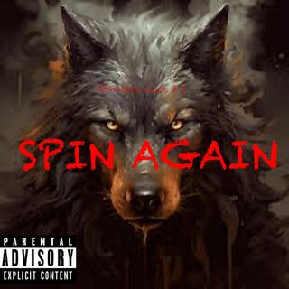 Spin Again