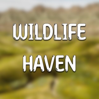 Wildlife Haven