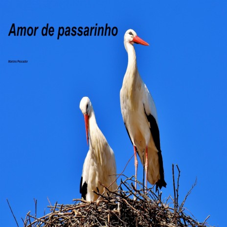 Amor de passarinho | Boomplay Music