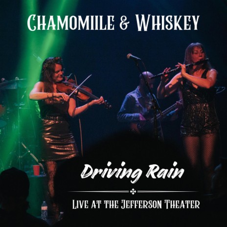 Driving Rain (Live at the Jefferson Theater) | Boomplay Music
