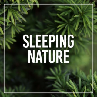 Sleeping Nature