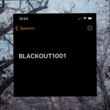 BLACKOUT1001 | Boomplay Music