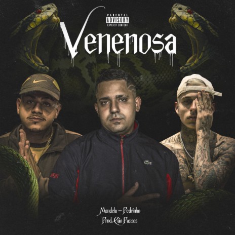 Venenosa ft. Mc Pedrinho & Caio Passos | Boomplay Music