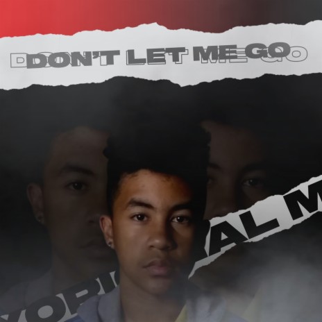 Don't Let Me Go