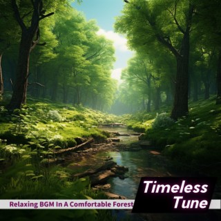 Relaxing BGM In A Comfortable Forest