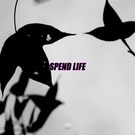 Spend Life (Instrumental)