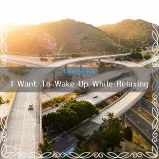 I Want To Wake Up While Relaxing