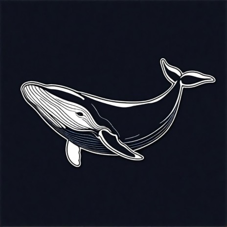 Whales | Boomplay Music