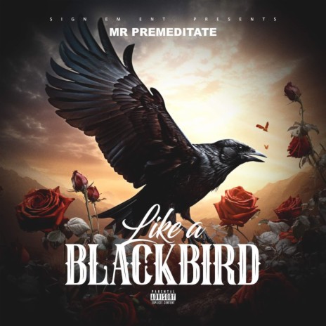 Like A BlackBird | Boomplay Music