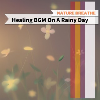 Healing BGM On A Rainy Day