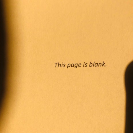 this page is blank.