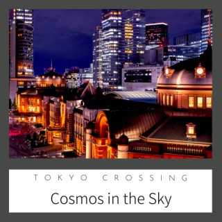 Cosmos in the Sky