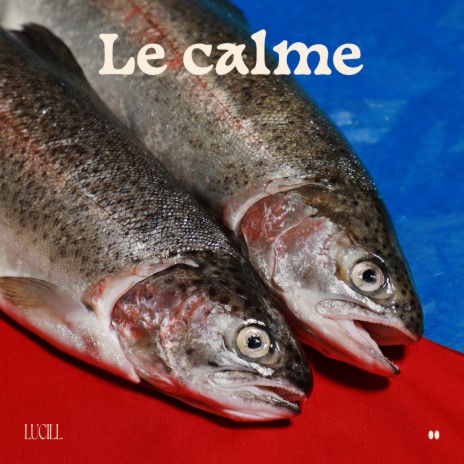 Le calme | Boomplay Music