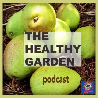 #23 Healthy Soil, Healthy Gut