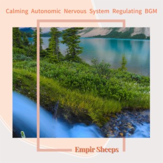 Calming Autonomic Nervous System Regulating BGM