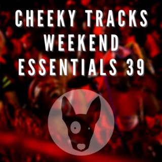Cheeky Tracks Weekend Essentials 39