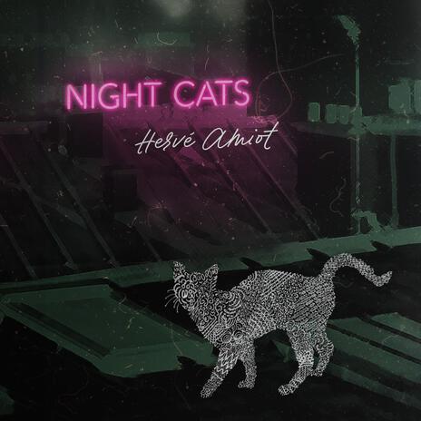 Night Cats | Boomplay Music