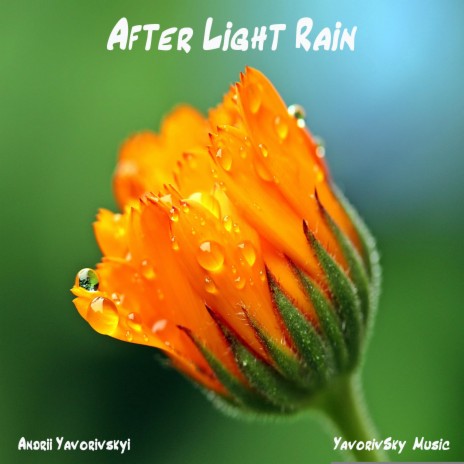 After Light Rain