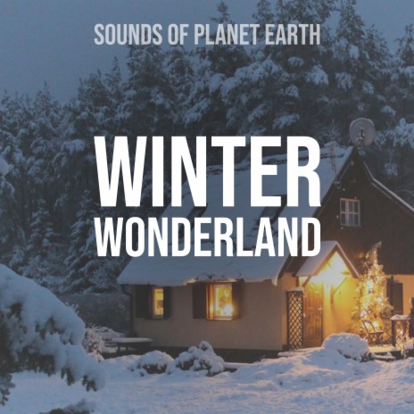Sound of Winter Walk in the Windy Snow | Boomplay Music