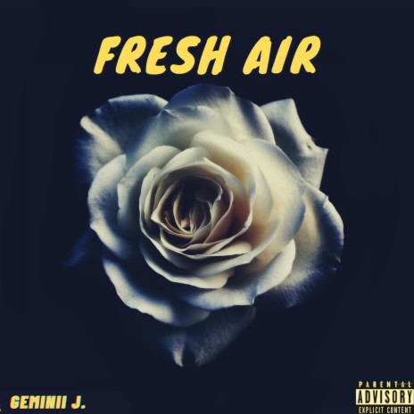 Fresh Air | Boomplay Music