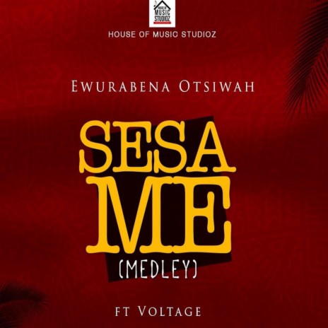 Sesa Me ft. Voltage | Boomplay Music