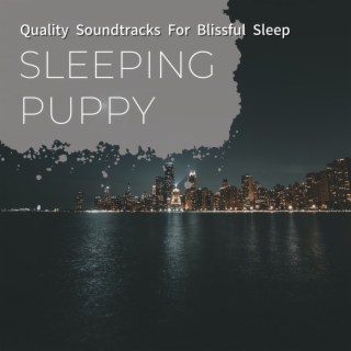Quality Soundtracks for Blissful Sleep