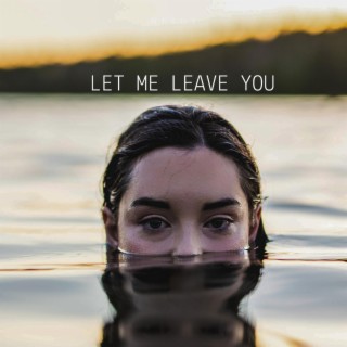 Let Me Leave You lyrics | Boomplay Music