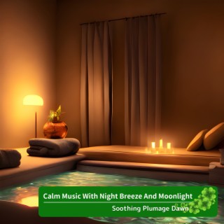 Calm Music With Night Breeze And Moonlight