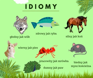 #252 Idiomy związane ze zwierzętami - Idioms related to animals
