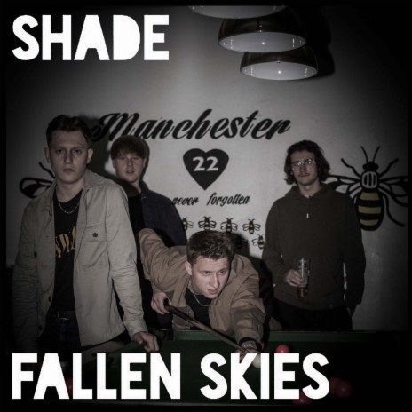 Fallen Skies | Boomplay Music