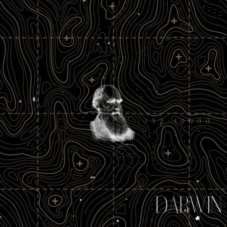 DARWIN | Boomplay Music