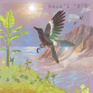 Kauaʻi ʻōʻō