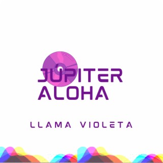 Llama Violeta