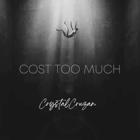 COST TOO MUCH | Boomplay Music