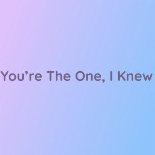 You're The One, I Knew