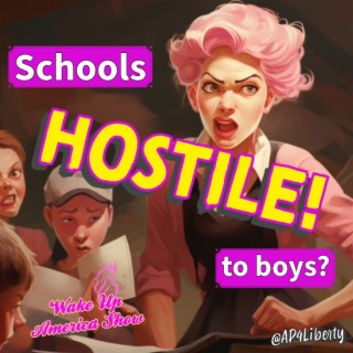 Are Schools Hostile To Boys?
