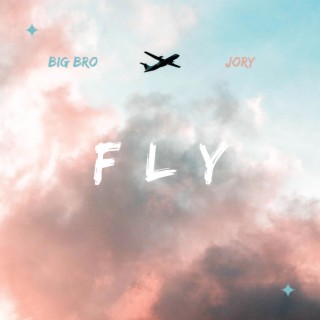 Fly