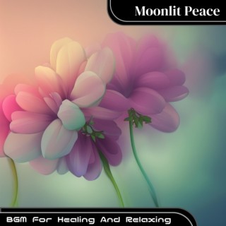 BGM For Healing And Relaxing